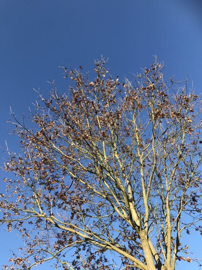 livsfarlig - trafikken - Gå Mig Glad