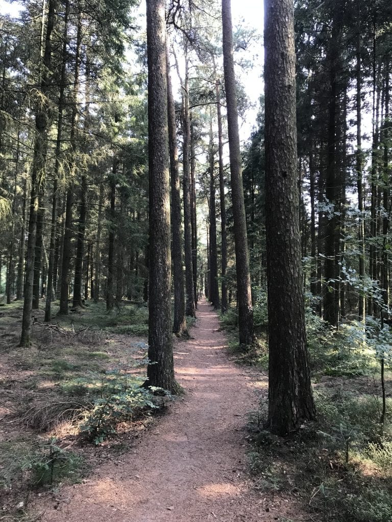 løb - gå - Gå Mig Glad - gåtur