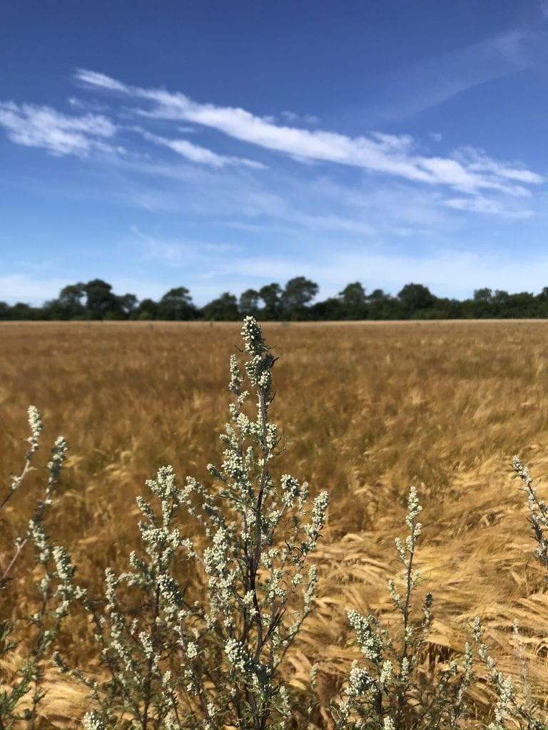 mål - gåmensduarbejder - gå mig glad - gådigsundinaturen - gåmigglad