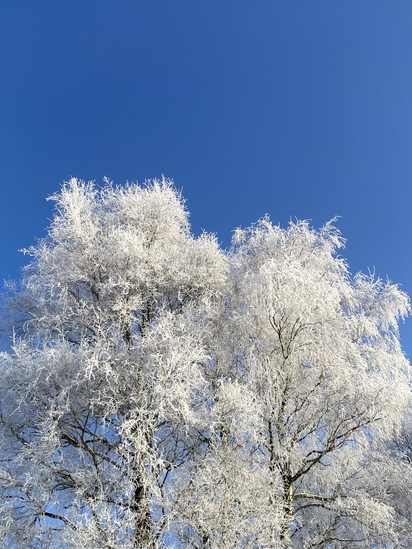 normalt - gå mens du arbejder - gåmensduarbejder - gåtur - gå - gang - gå mig glad - Koldingnormalt - gå mens du arbejder - gåmensduarbejder - gåtur - gå - gang - gå mig glad - Kolding