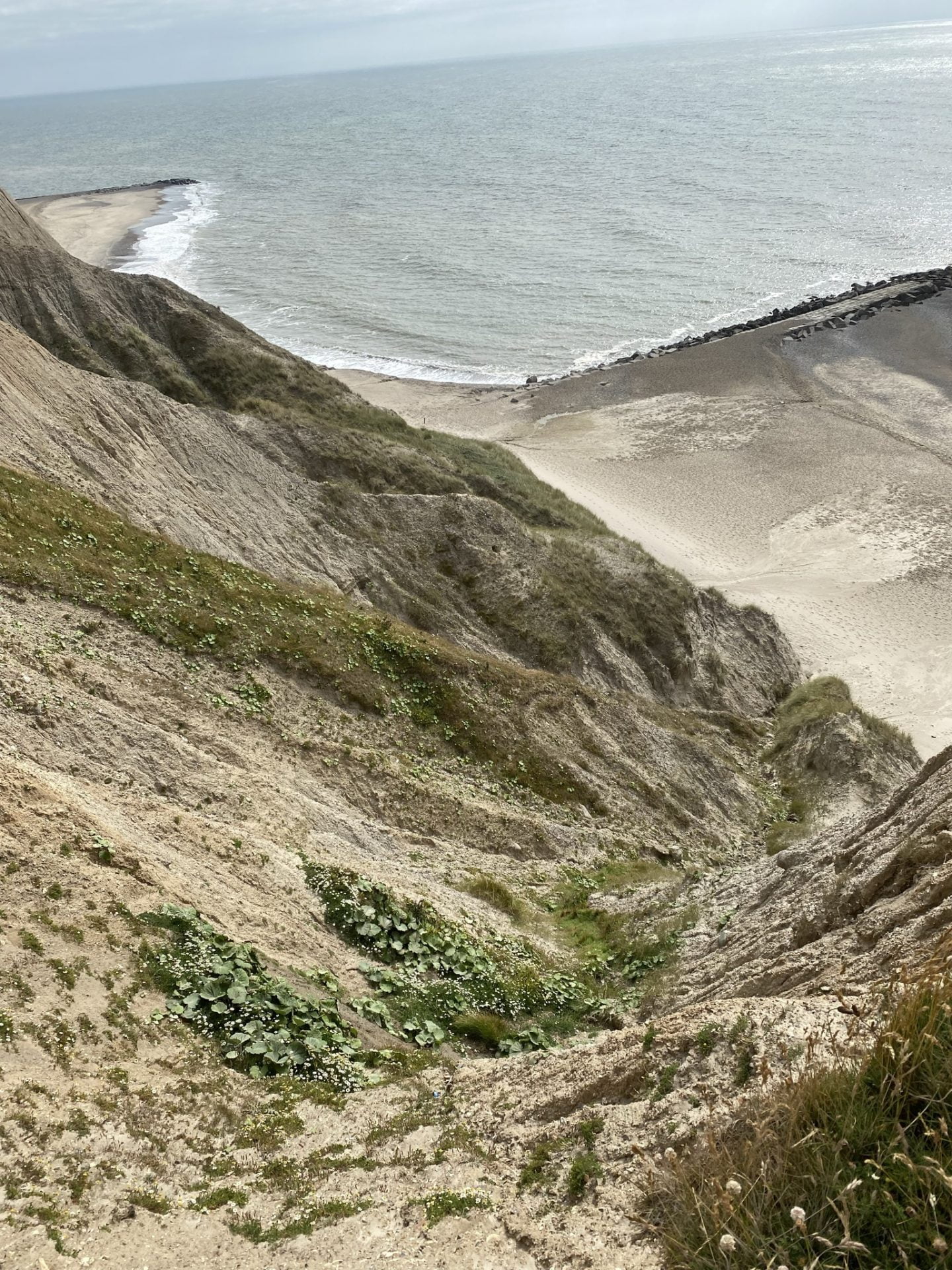 personlige problemer - gå mig glad - gå mens du arbejder - gåtur - Kolding - gang -
