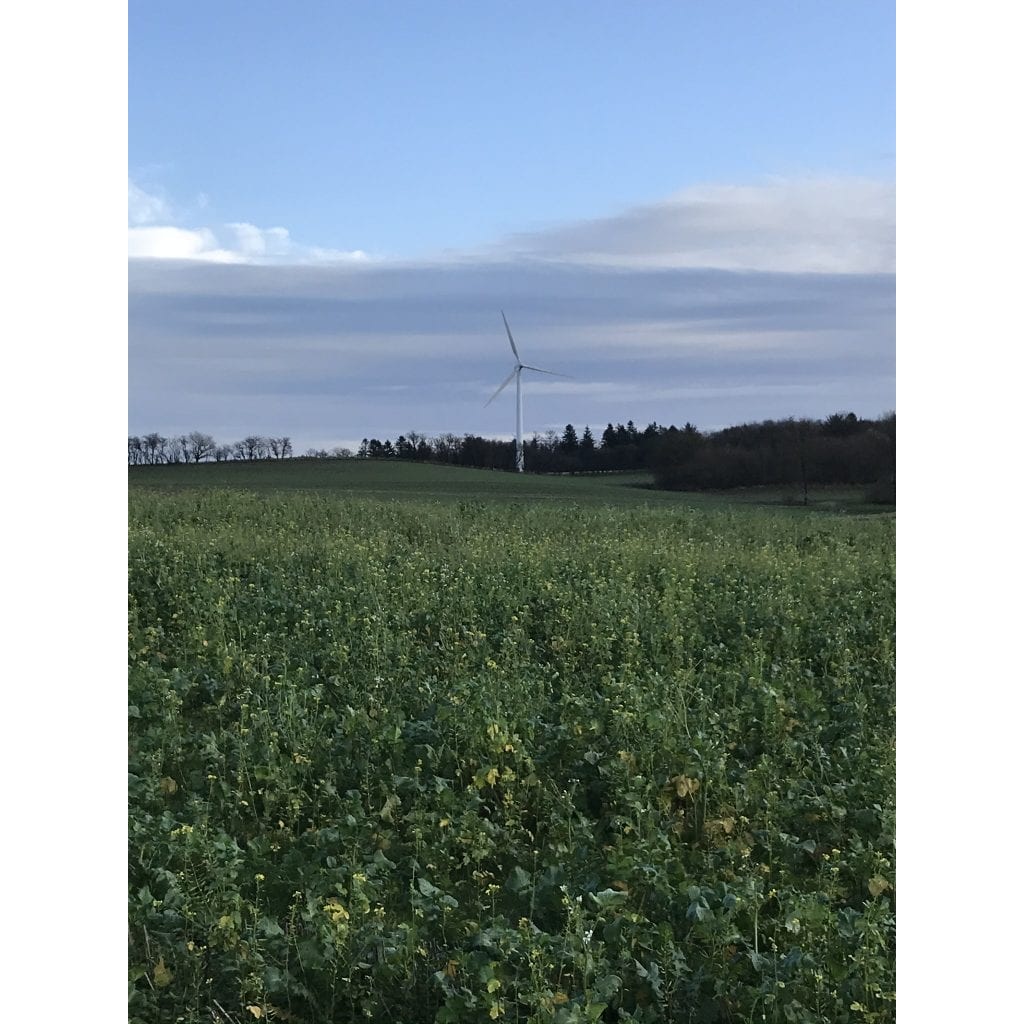 pris - Gå Mig Glad - gåtur - gå