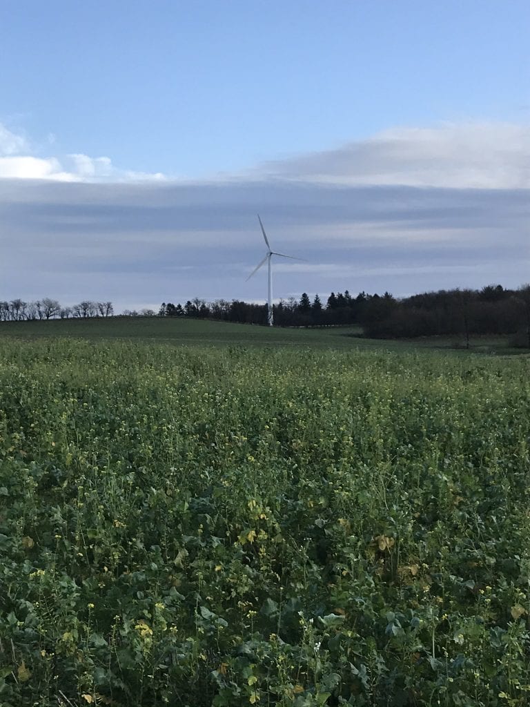 pris - Gå Mig Glad - gåtur - gå