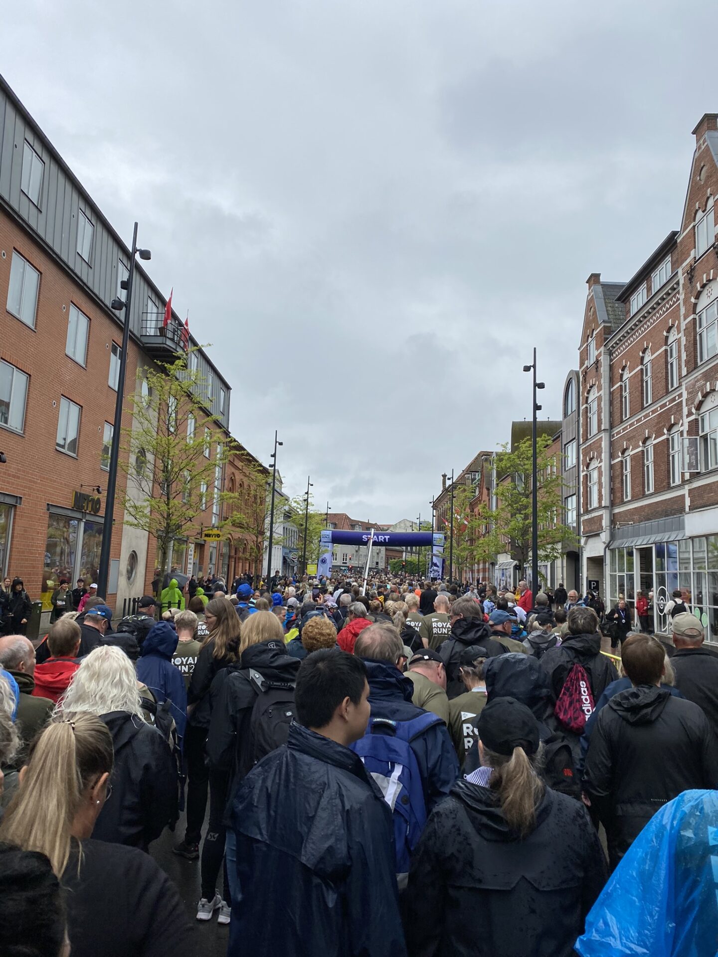 royal run - gå mig glad - mål - tåre - rørt - tuder - Kolding