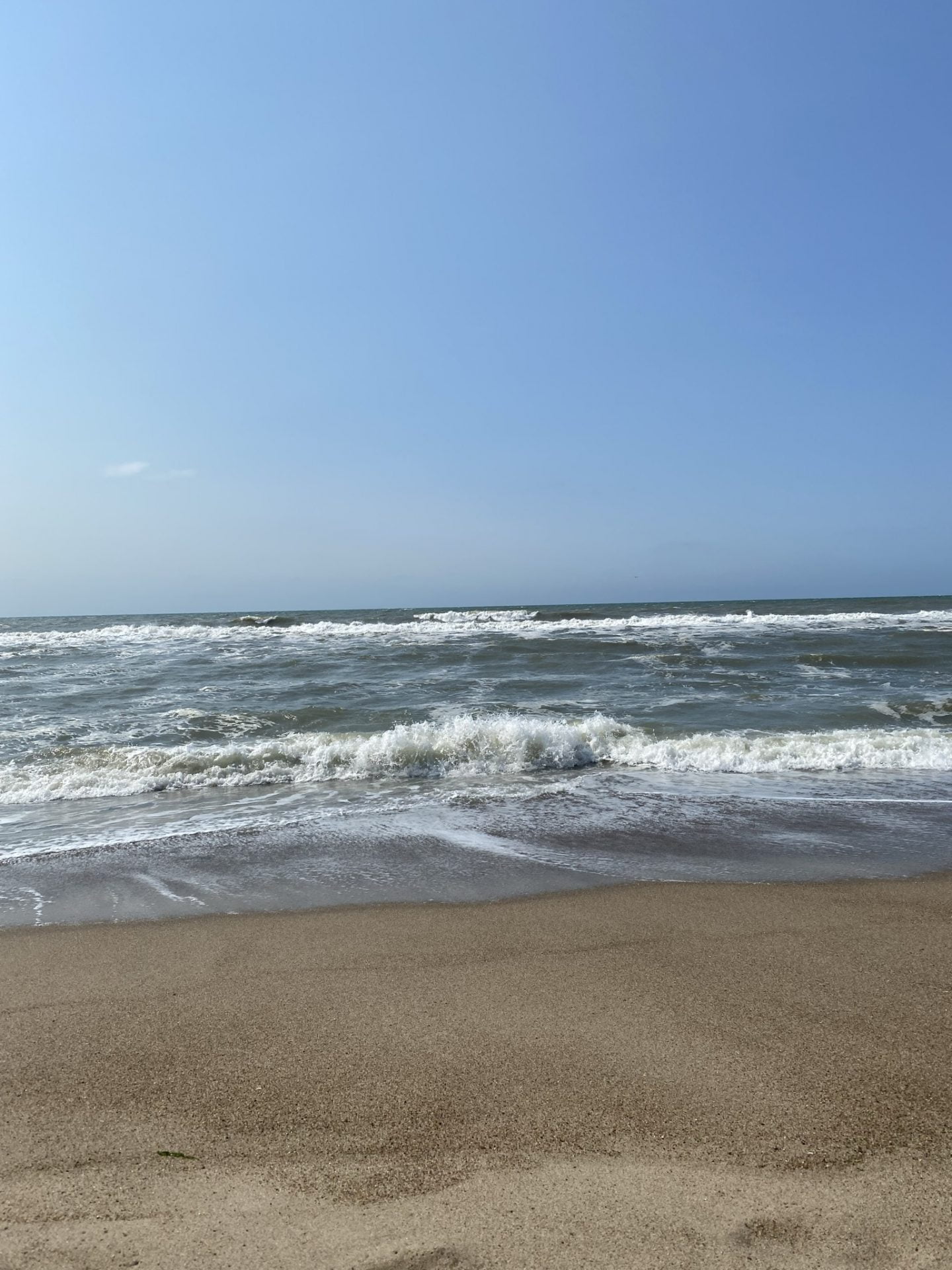 samme - gåtur - Kolding - gå mig glad - gå mens du arbejder - Vejlby klit - går - gik - gang