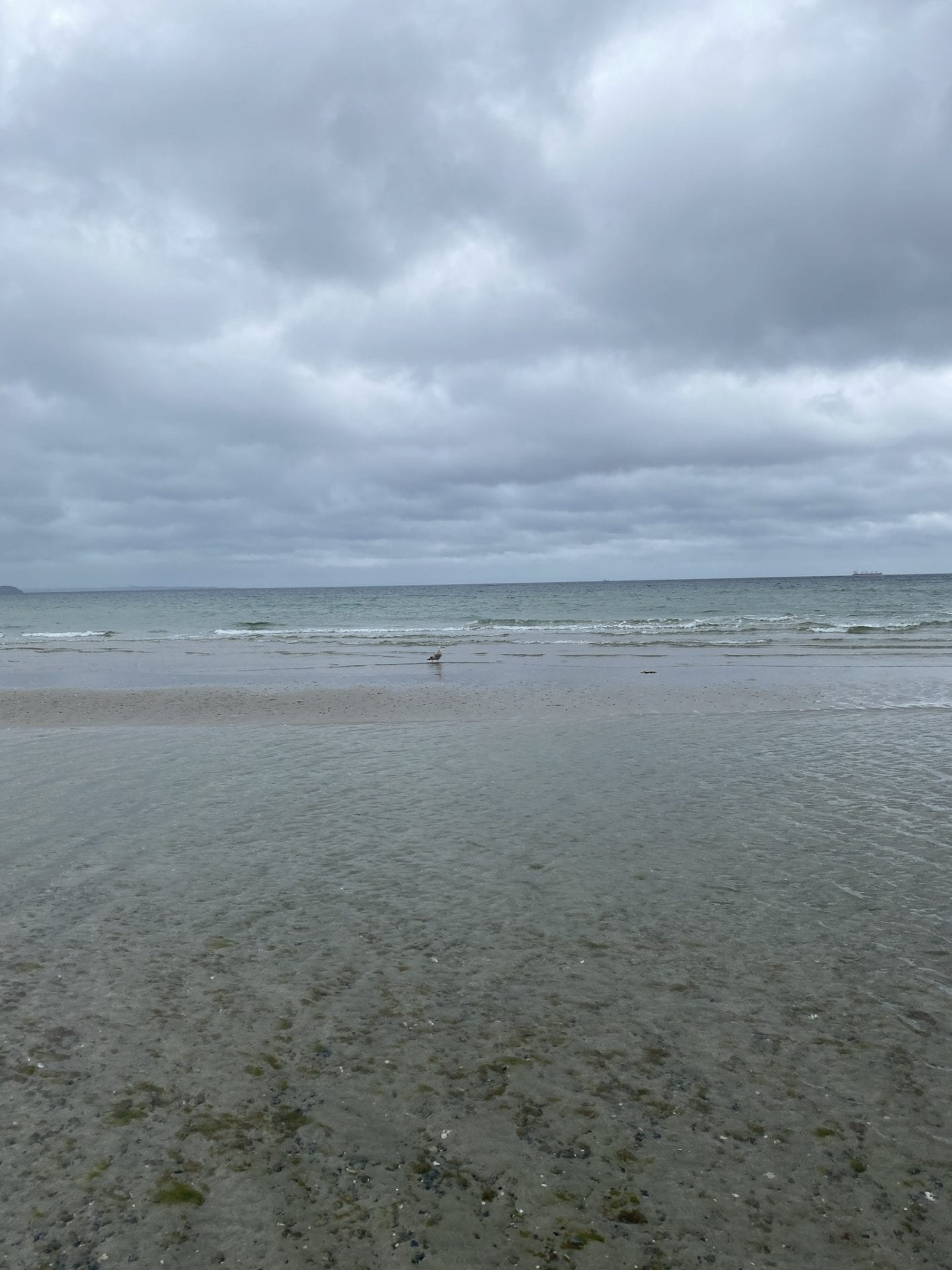 tab - sorg - gå mig glad - gå - gang - gå mens du arbejder - Kolding - gåtur -tab - sorg - gå mig glad - gå - gang - gå mens du arbejder - Kolding - gåtur -