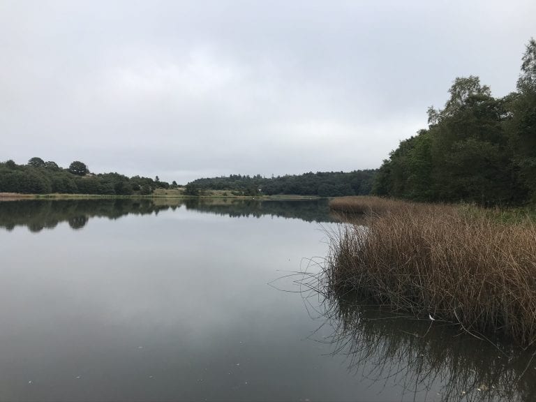 tid - gå mig glad - gåmensduarbejder - fællesskab - foredrag - godtgået