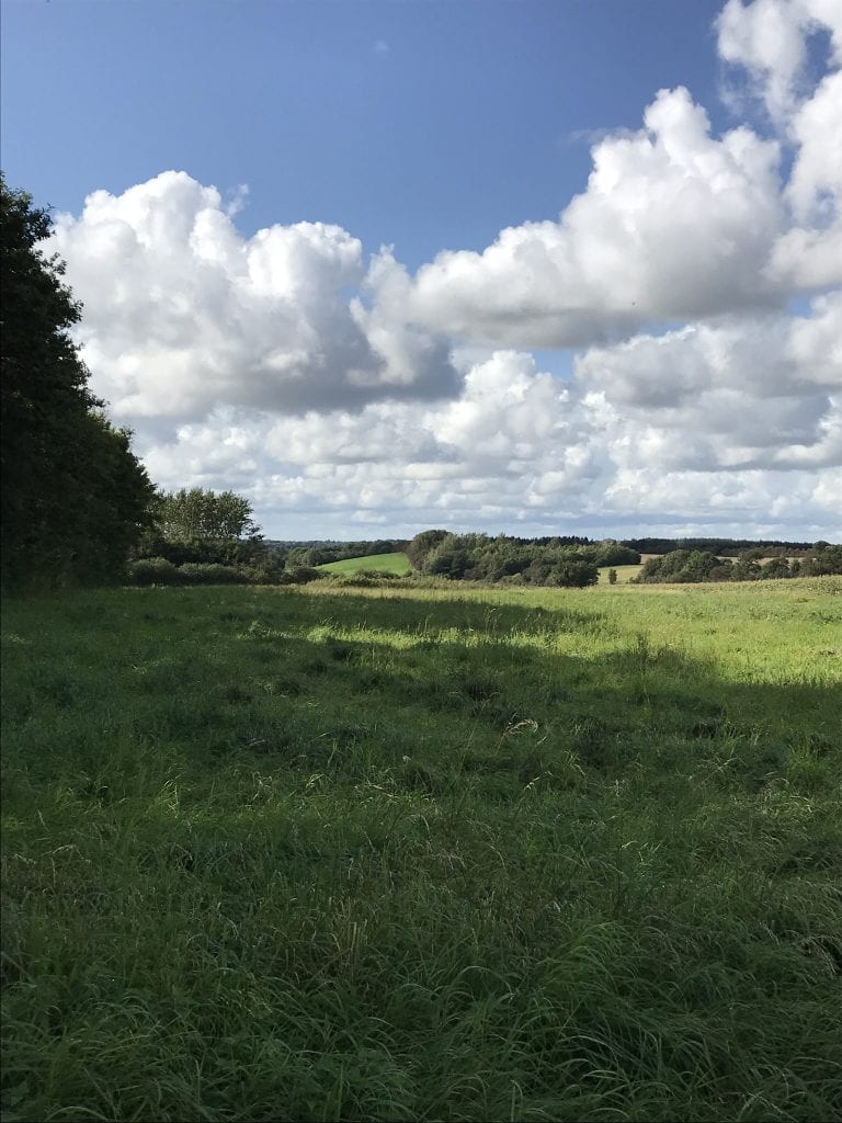 tilflytter tips - gåtur - gå - Gå Mig Glad