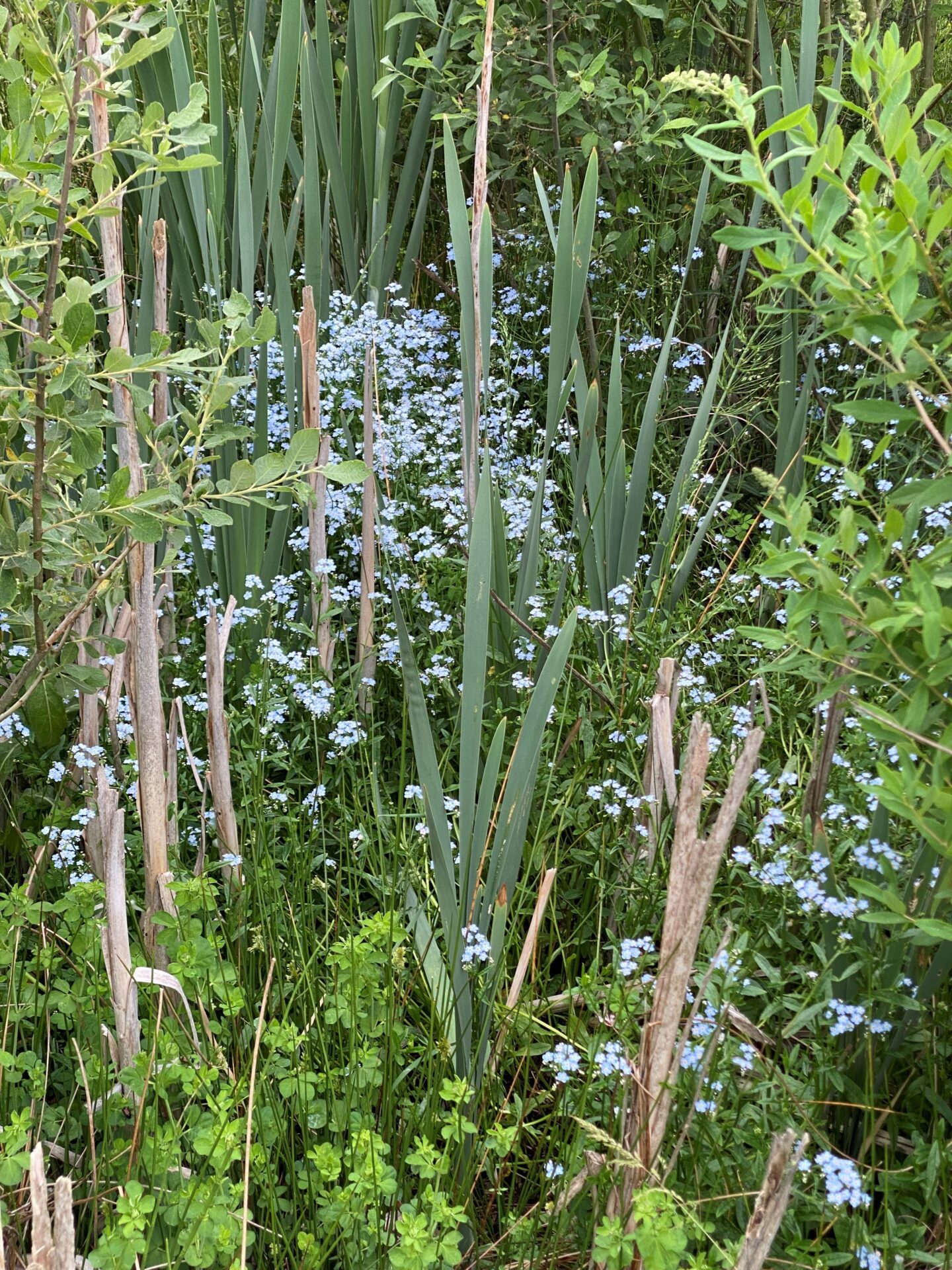 Tilpas - gå mig glad - Kolding - godt i gang - gåtur