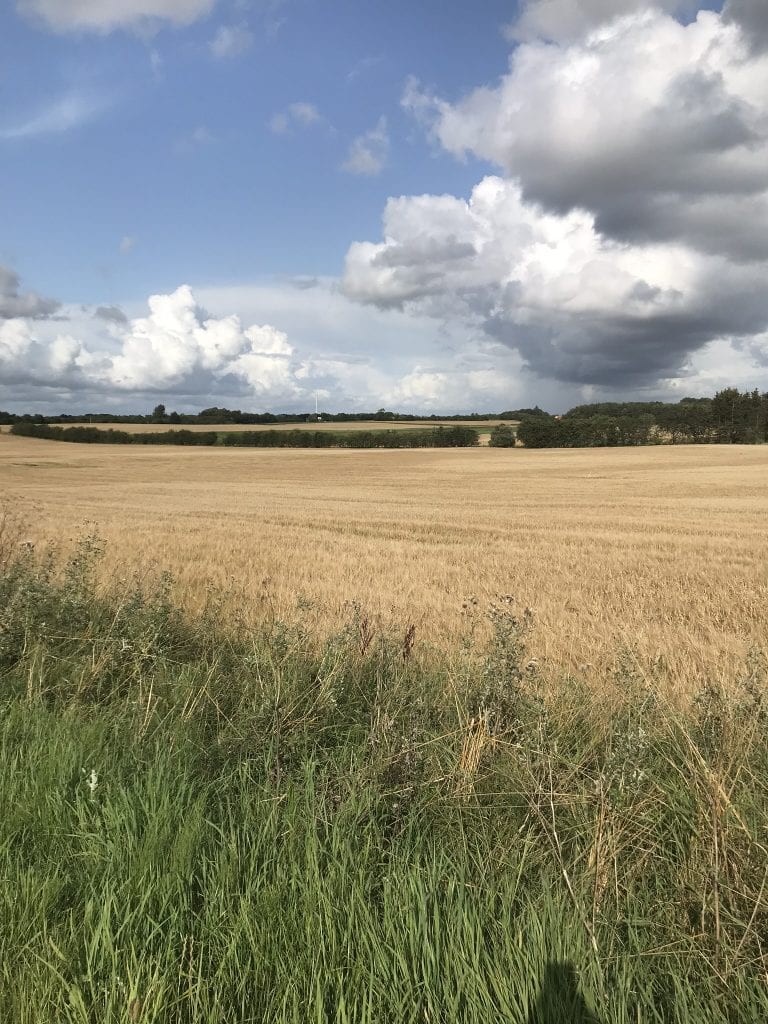 vil du følge strømme eller drømmen - gå - Gå Mig Glad - gåtur - håndværker