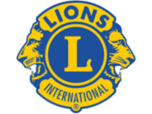 Lions - gå mens du arbejder - en gåtur kan forvandle dit liv - brug gåturen professionelt - gå mig glad - foredragsholder - gå dig glad - Heidi møller